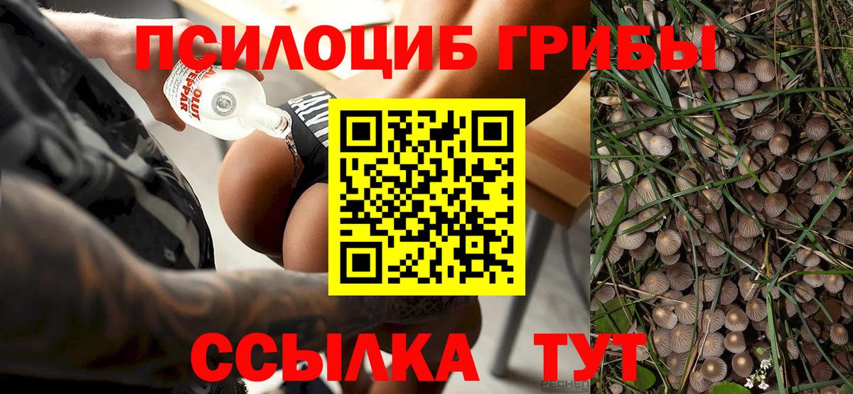 Псилоцибиновые грибы мицелий  Вход с VPN  Жигулёвск 